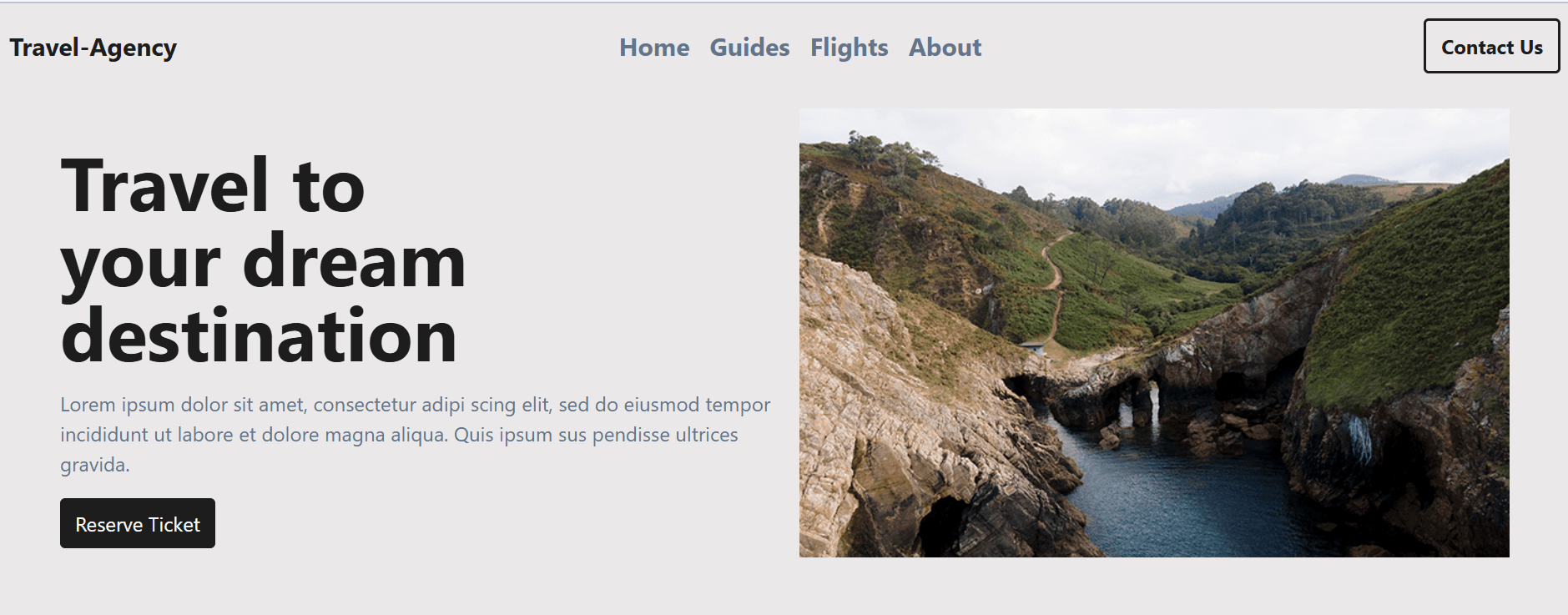 Travel Website